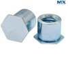 Hex Head Rivet Nuts for Auto