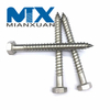 Stainless Steel Hex Head Lag Screw Wood Screws