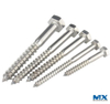 Stainelss Steel Hex Coach Screws
