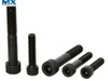 Hexagon Socket Head Cap Screws with Low Head