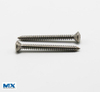 Stainless Steel Cross Recessed Raised Countersunk Head Tapping Screws