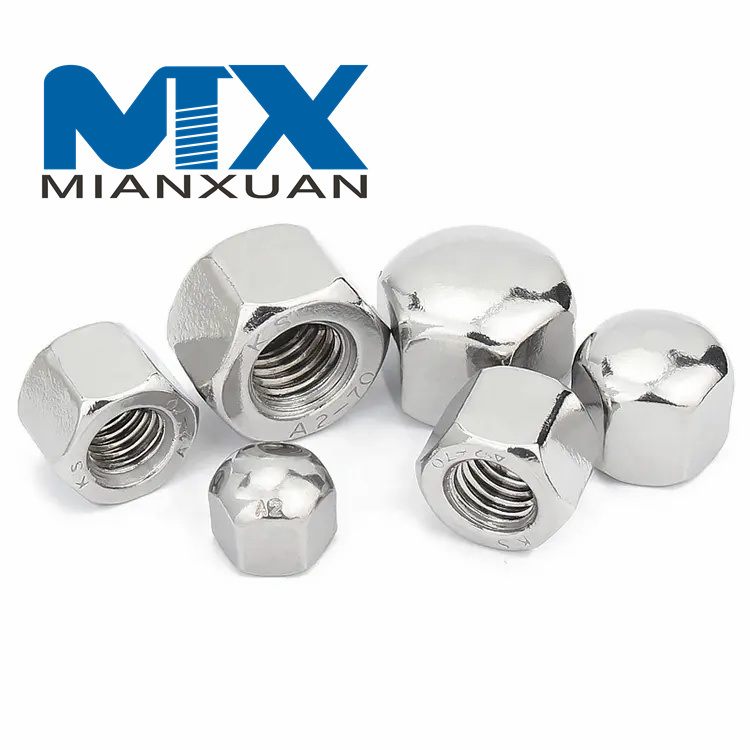 Stainless Steel Hex Cap Nuts DIN917