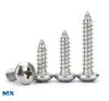 Stainless Steel pH Recessed Round Head Tapping Screws