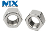 Nylon Insert Lock Nut