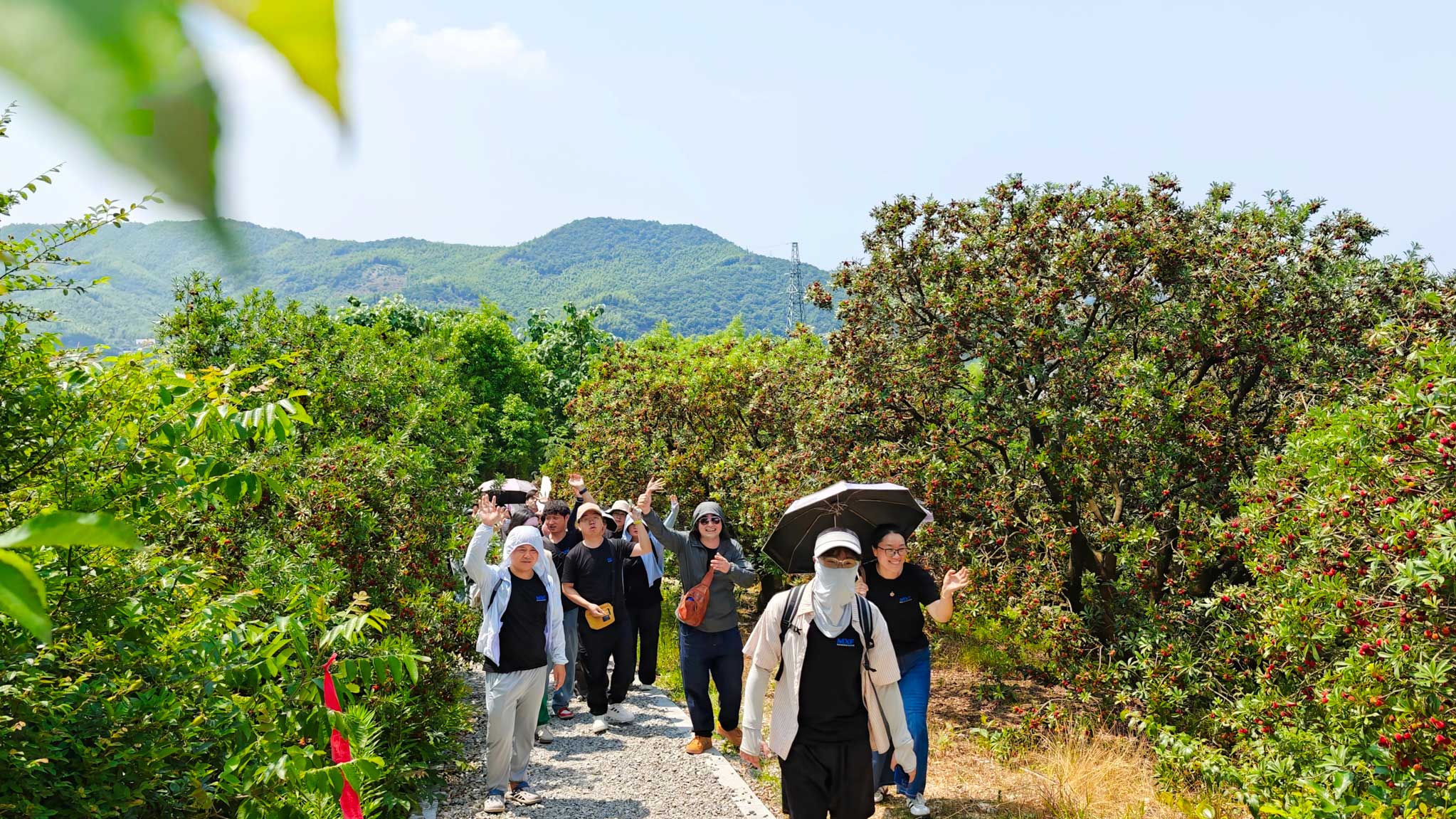 Mianxuan Fastener team hiking activity bayberry grove bamboo forest team building 2026